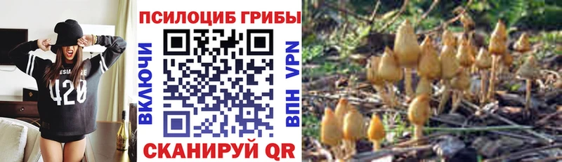 что такое   Лысково  Псилоцибиновые грибы ЛСД 
